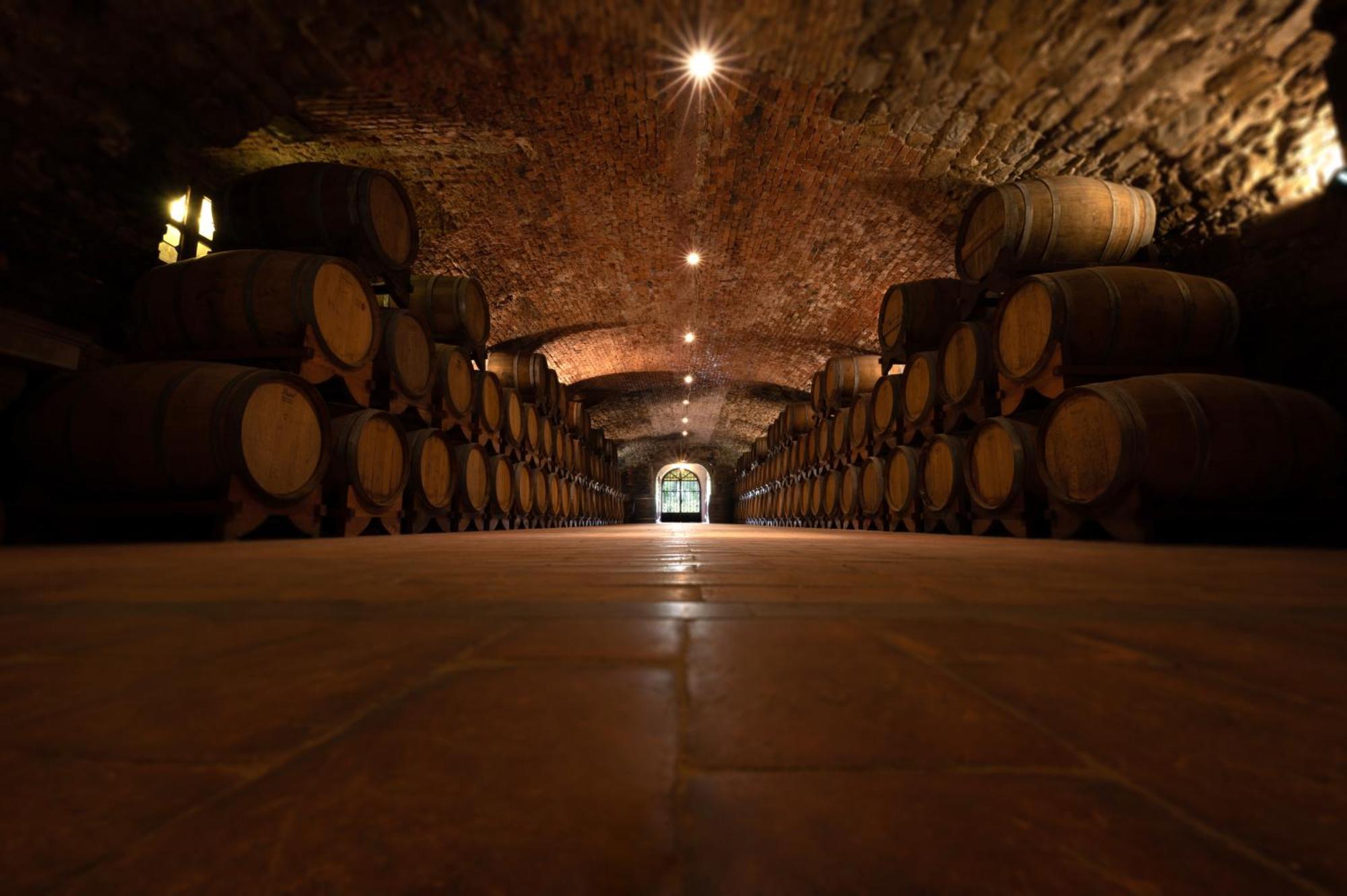 Готель Castello Di Spessa - Residenze D'Epoca Capriva del Friuli Екстер'єр фото